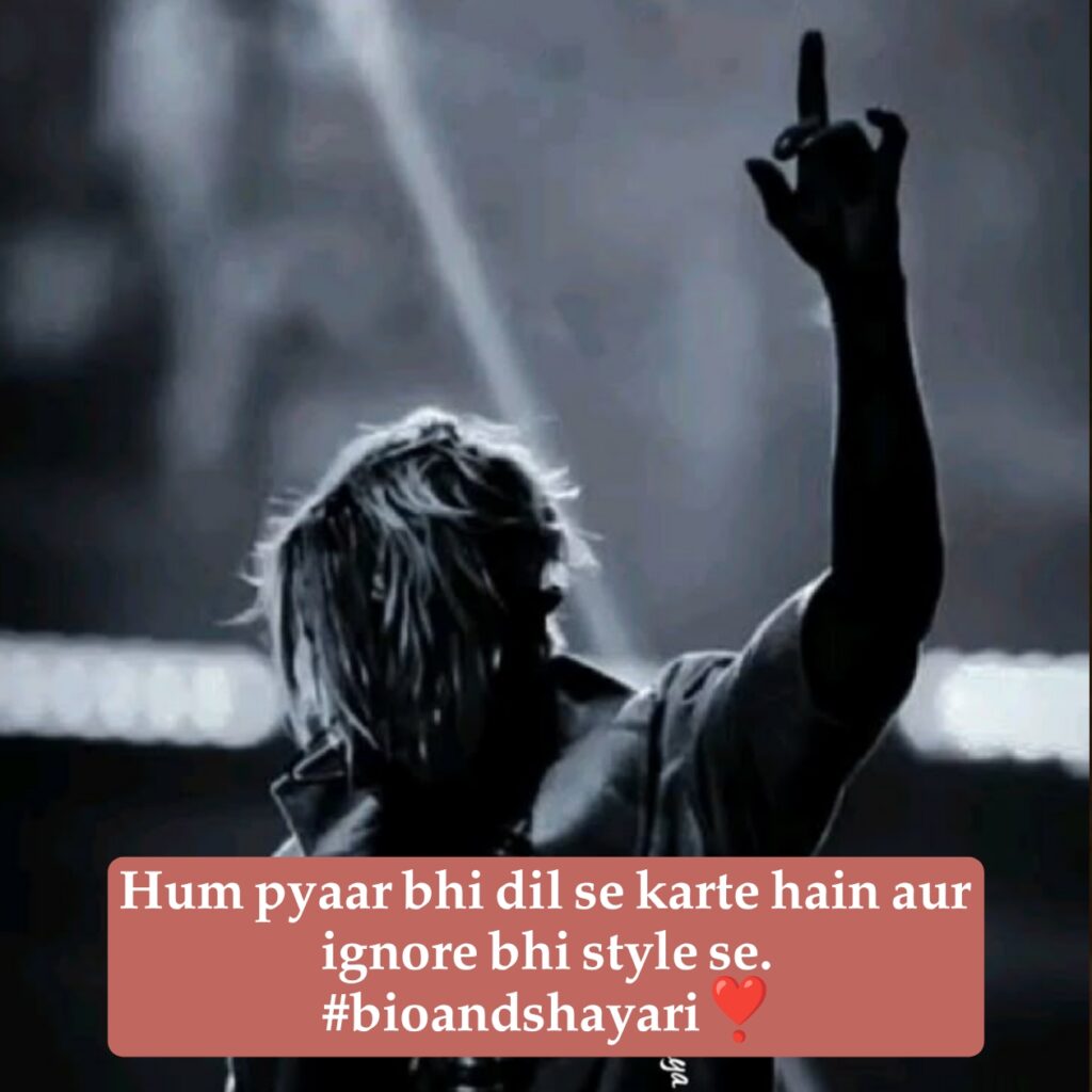 Attitude Captions For Instagram In Hindi (3)