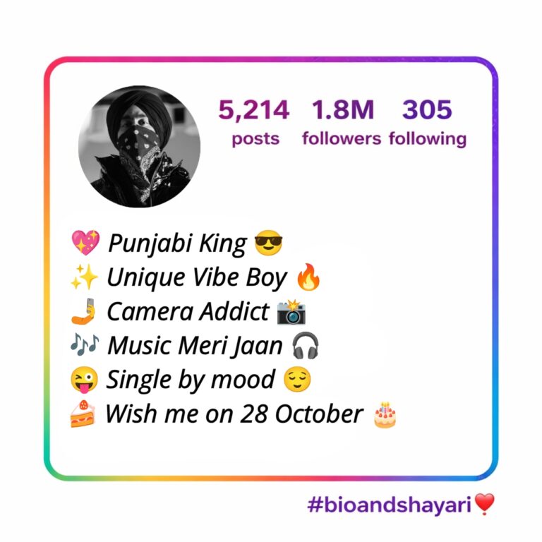 Punjabi Instagram Bio (1)