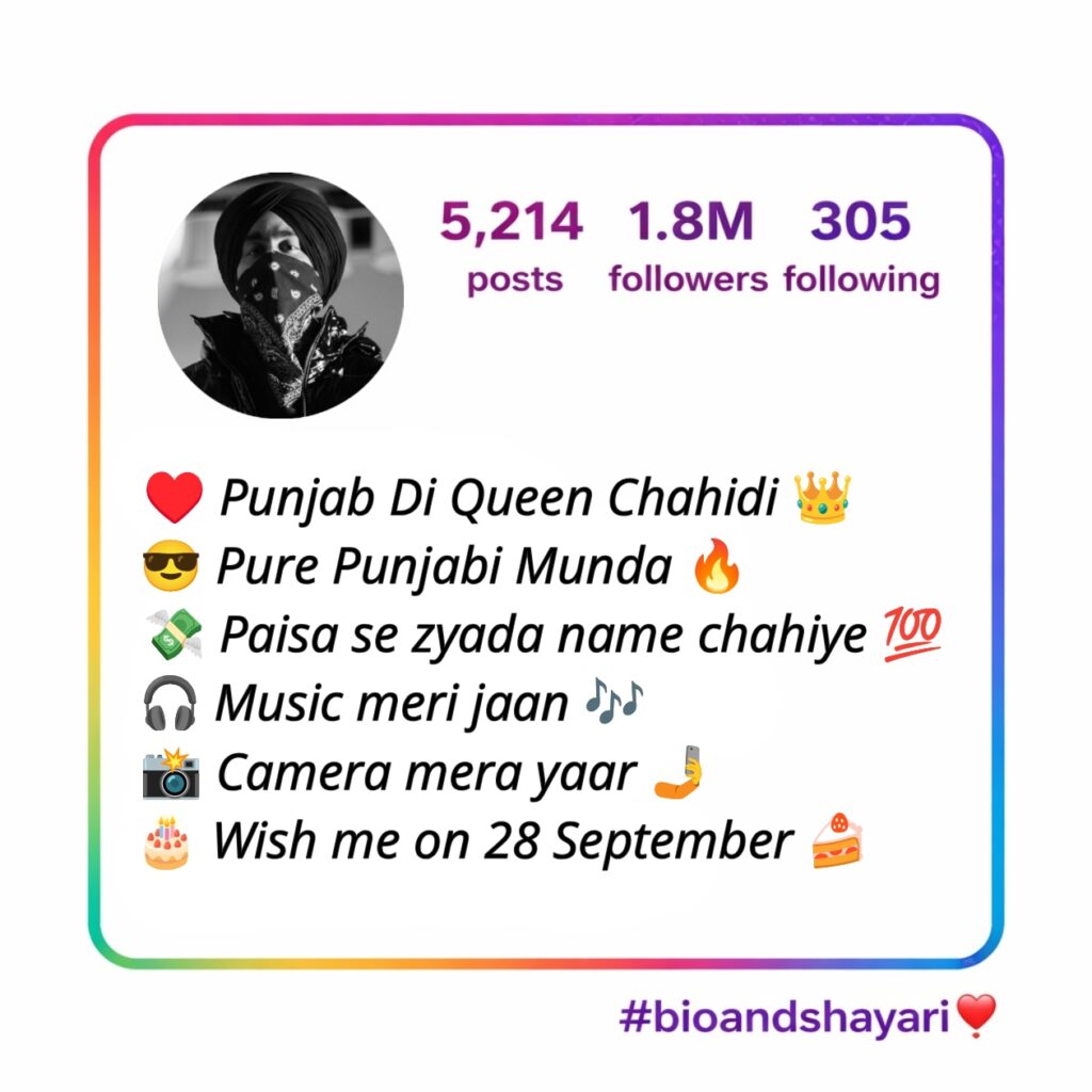 Punjabi Instagram Bio (3)
